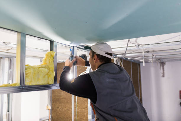 Best Geographic-Specific Insulation Services in Cave City, KY
