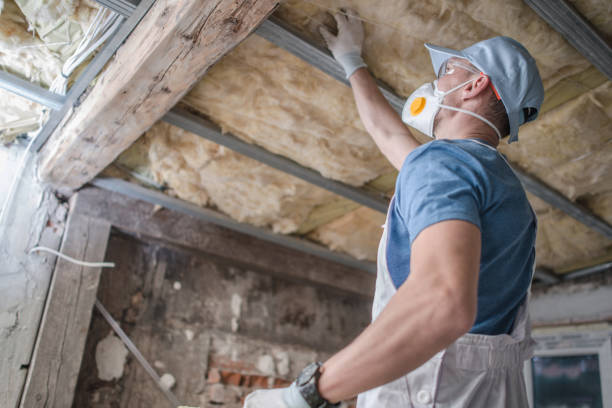 Best DIY Insulation Kits and Guidance in Cave City, KY